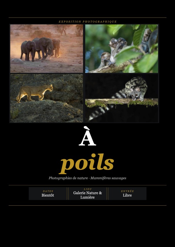 Exposition photographique sur les mammifères du monde